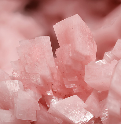 Rhodochrosite with Quartz and Galena. Detail / Photo: Joaquim Calln